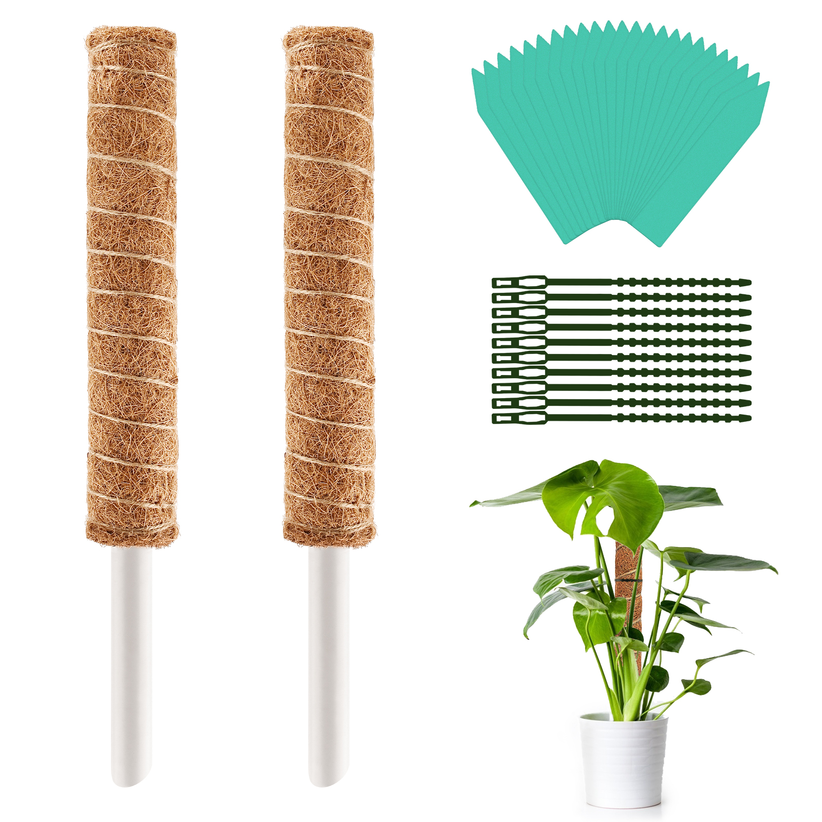 GOXAWEE Moss Pole, 2Pcs 15.6'' Coco Coir Totem Pole for Climbing Plants, Supports Indoor Plants to Grow Upwards, Moss Sticks with 20 Pcs Plastic Plant Labels and 10Pcs Plastic Twist Tie